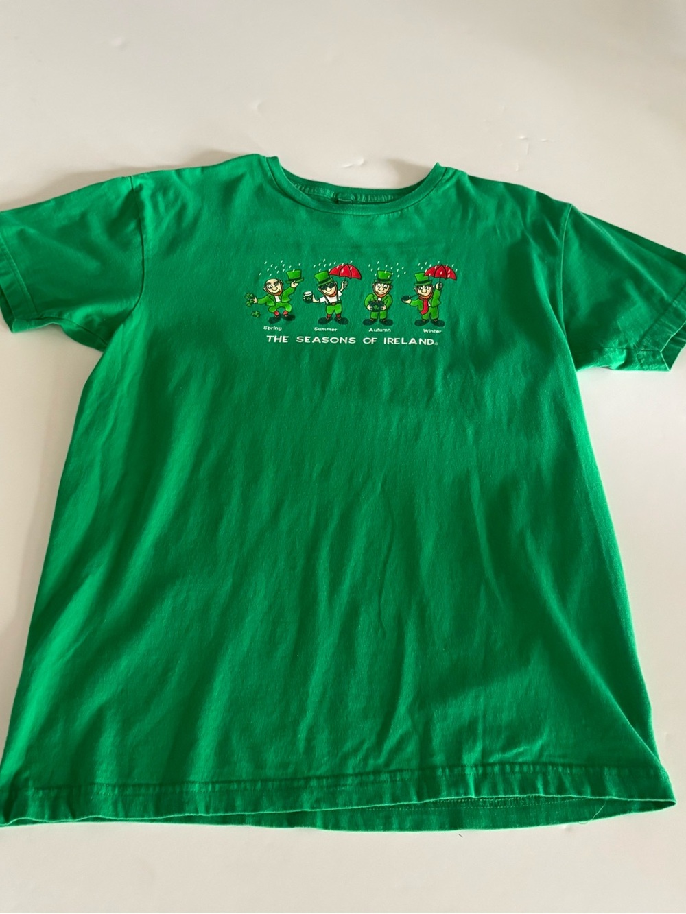 Mens Green 'The Seasons of Ireland' Graphic Tee by Fanshirt, Size Medium